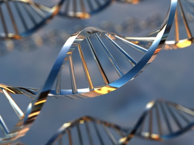 Что наша ДНК говорит о нас?