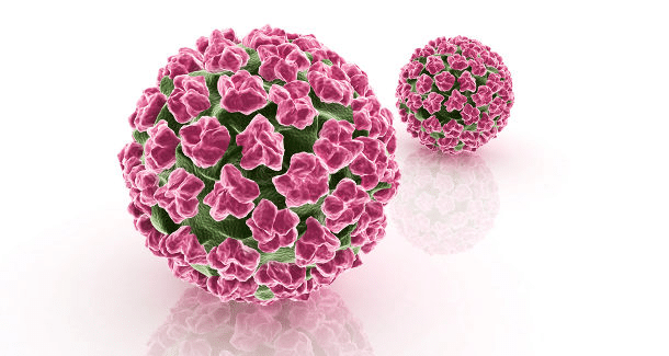 HPV - DNA-Test Humanes Papillomavirus